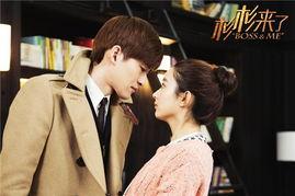 杉杉来了电视剧在线观看,甜蜜爱情与职场奋斗的温馨画卷 第1张 杉杉来了电视剧在线观看,甜蜜爱情与职场奋斗的温馨画卷 第1张