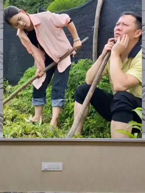 娱乐八卦一定是吃瓜群众的吗 第1张 娱乐八卦一定是吃瓜群众的吗 第1张