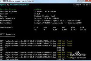 今日外网爆料视频最新 第1张 今日外网爆料视频最新 第1张