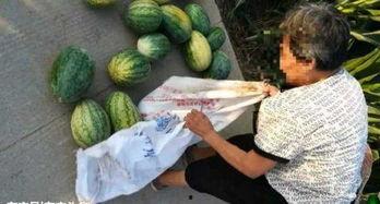 沛县吃瓜最新事件爆料,揭秘背后真相与争议 第1张 沛县吃瓜最新事件爆料,揭秘背后真相与争议 第1张